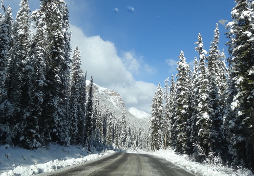 Parc Yoho