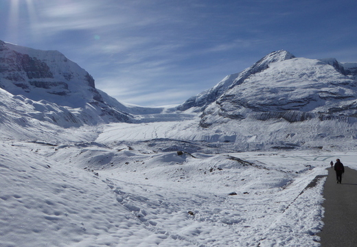Glacier Althabasca, Alberta