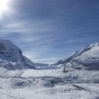 Le glacier d'Althabasca, Alberta