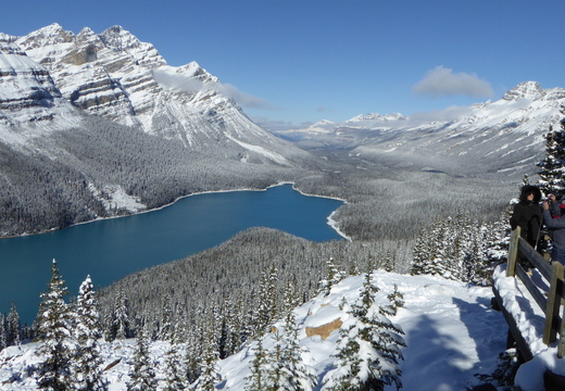 Le lac Peyto et sa vallée d'aval