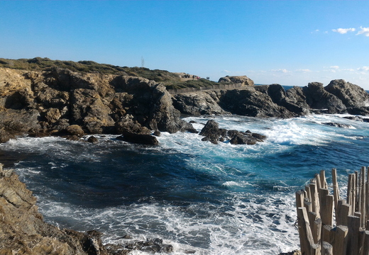 Île du Gaou, au Brusc