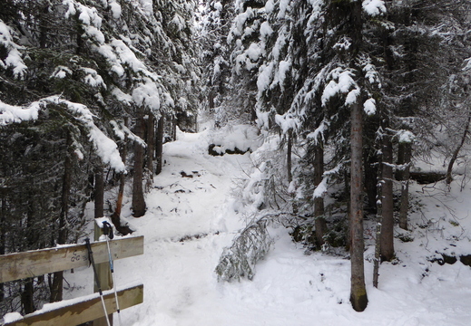 En haut du mont Fairview