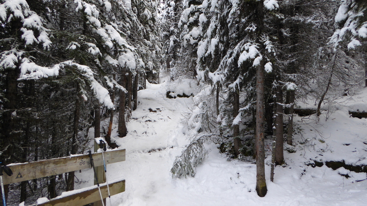 En haut du mont Fairview