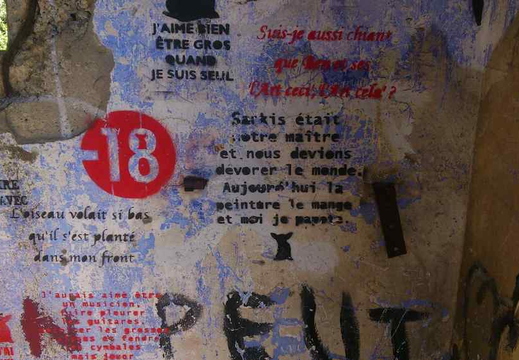 L'oiseau volait si bas qu'il s'est planté dans mon front