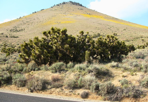 death-valley-2006-001