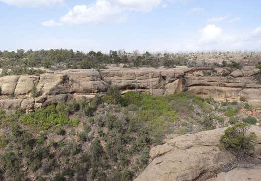 vestiges-indiens-mesa-verde-10-11mai2014-9