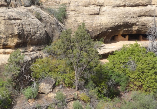 vestiges-indiens-mesa-verde-10-11mai2014-10