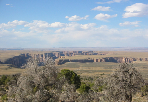 2006 010 colorado 00c