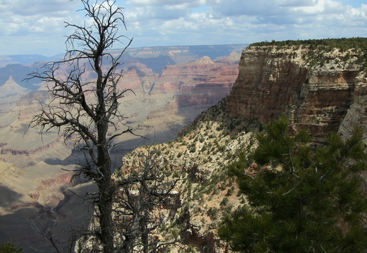 2006 011 grand canyon 19