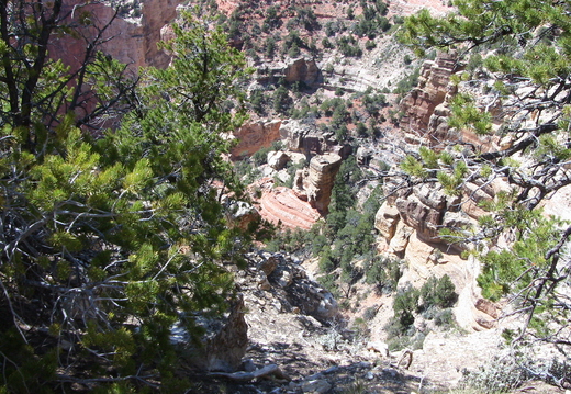 grand-canyon-north-rim-19mai2012-077