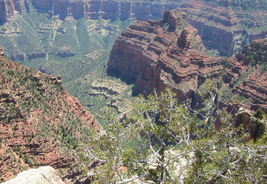 grand-canyon-north-rim-19mai2012-051