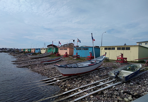 IMG 20190818 112514
