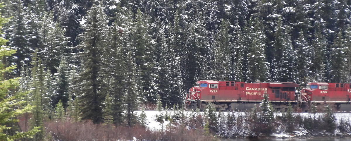 Le train rouge dans la neige