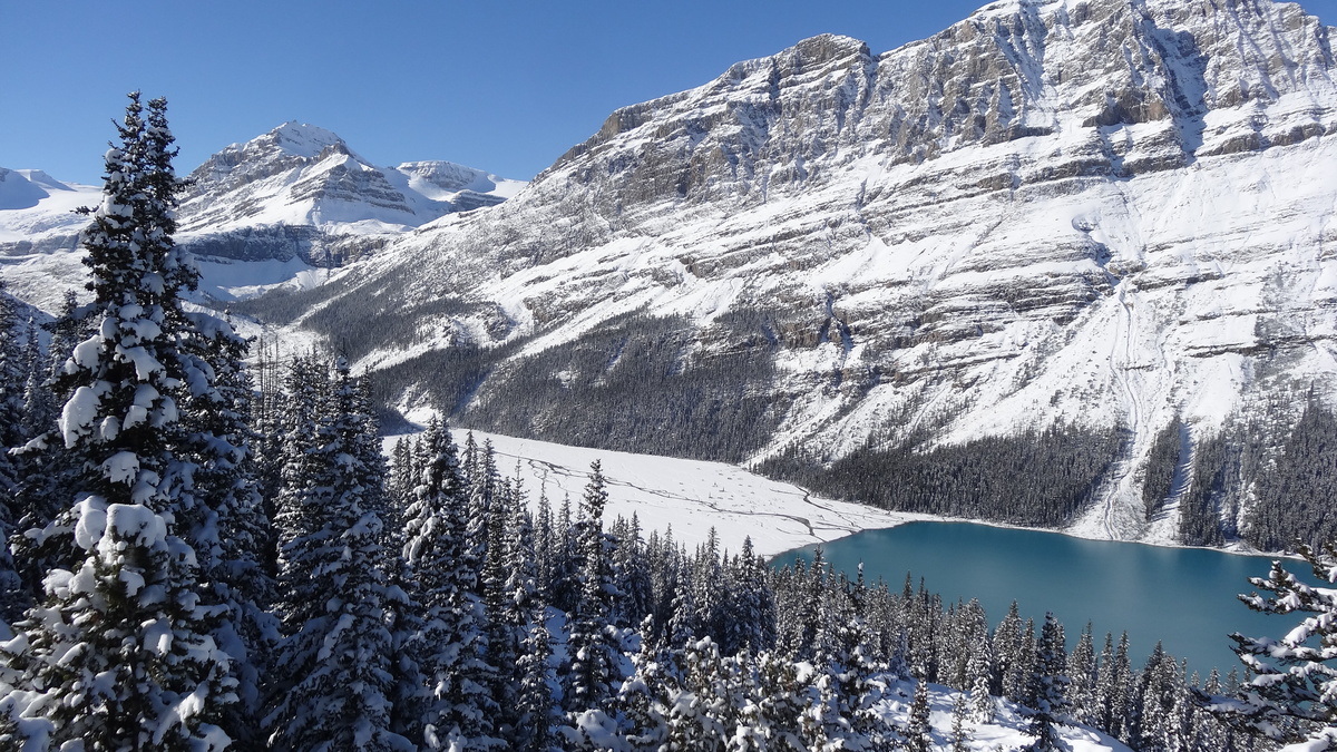 Le lac Peyto, côté glacier, Alberta